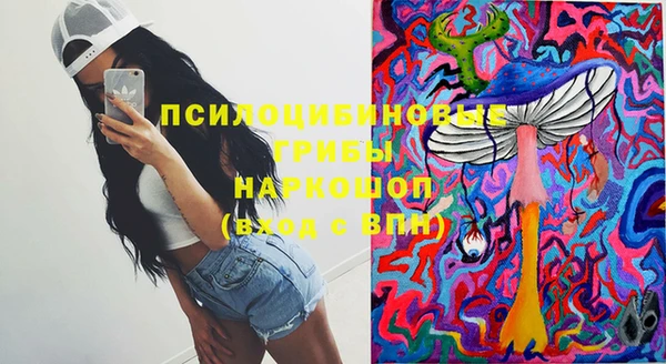 стафф Волгодонск
