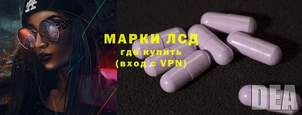 сатива Новочеркасск
