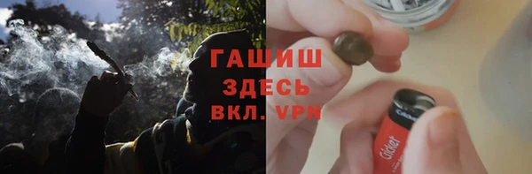 сатива Новочеркасск