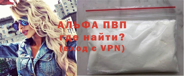 сатива Новочеркасск