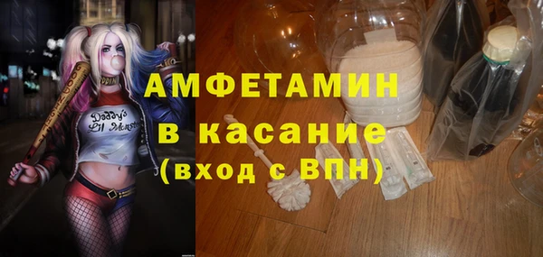 сатива Новочеркасск