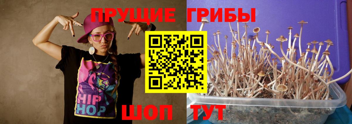 Псилоцибиновые грибы ЛСД  Галлюциногенные грибы MAGIC MUSHROOMS  Барабинск  Вход с VPN 