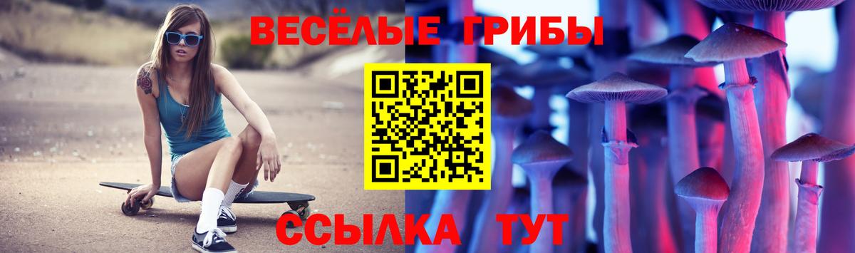 Галлюциногенные грибы мухоморы Барабинск